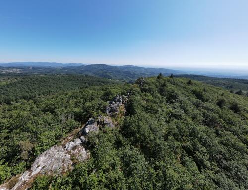 Filon de Quartz - Rez de Sol et Pierre du Sang [09-07-2022](1037).jpg